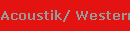 Acoustik/ Westerngitarren