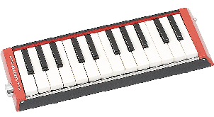 B24 bass melodion